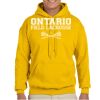 Adult Heavy Blend™ Hooded Sweatshirt Thumbnail